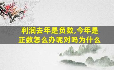 利润去年是负数,今年是正数怎么办呢对吗为什么