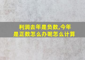 利润去年是负数,今年是正数怎么办呢怎么计算