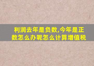 利润去年是负数,今年是正数怎么办呢怎么计算增值税