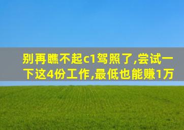 别再瞧不起c1驾照了,尝试一下这4份工作,最低也能赚1万