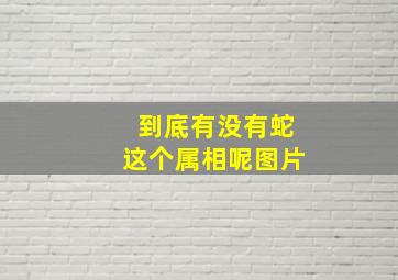 到底有没有蛇这个属相呢图片