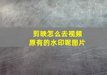 剪映怎么去视频原有的水印呢图片