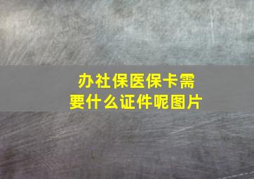 办社保医保卡需要什么证件呢图片