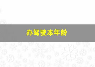 办驾驶本年龄