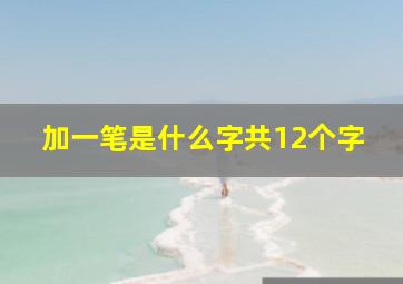 加一笔是什么字共12个字