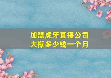 加盟虎牙直播公司大概多少钱一个月