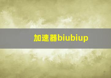 加速器biubiup