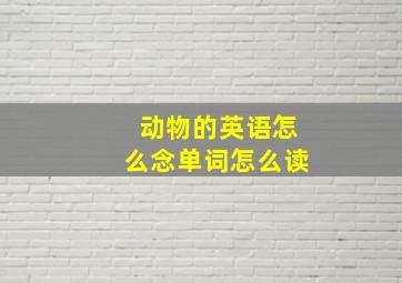 动物的英语怎么念单词怎么读