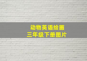 动物英语绘画三年级下册图片