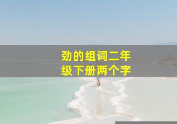 劲的组词二年级下册两个字