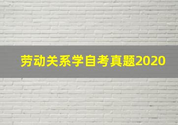 劳动关系学自考真题2020