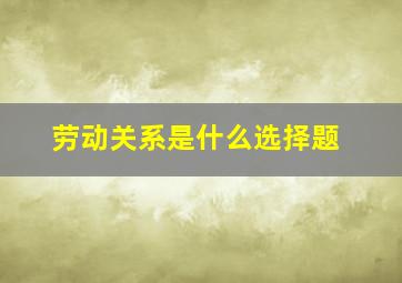 劳动关系是什么选择题