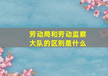 劳动局和劳动监察大队的区别是什么