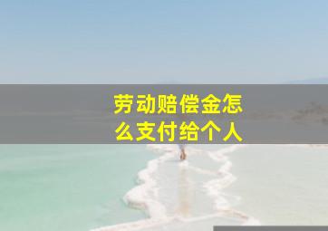 劳动赔偿金怎么支付给个人