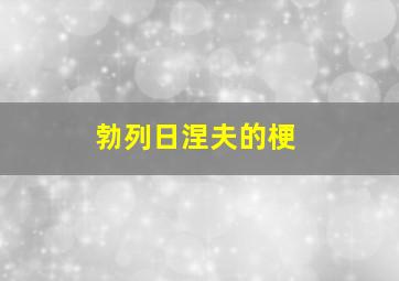 勃列日涅夫的梗