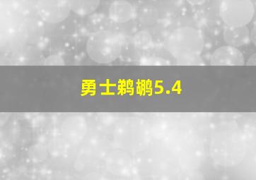 勇士鹈鹕5.4