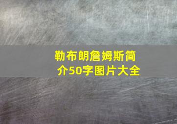 勒布朗詹姆斯简介50字图片大全