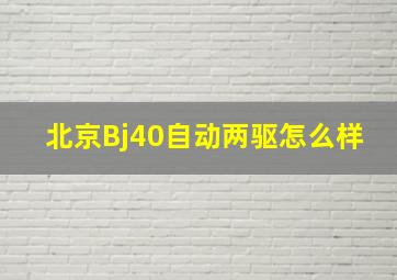 北京Bj40自动两驱怎么样