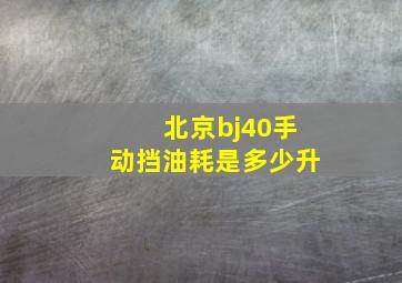 北京bj40手动挡油耗是多少升