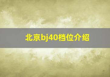 北京bj40档位介绍