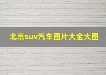 北京suv汽车图片大全大图