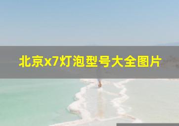 北京x7灯泡型号大全图片