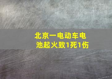 北京一电动车电池起火致1死1伤