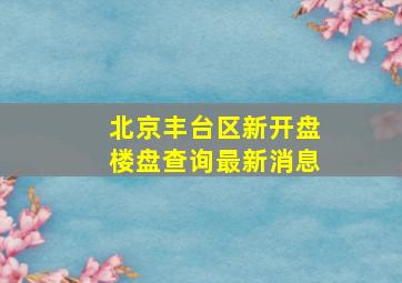 北京丰台区新开盘楼盘查询最新消息