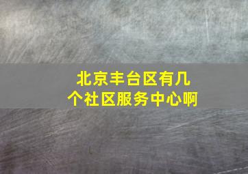 北京丰台区有几个社区服务中心啊