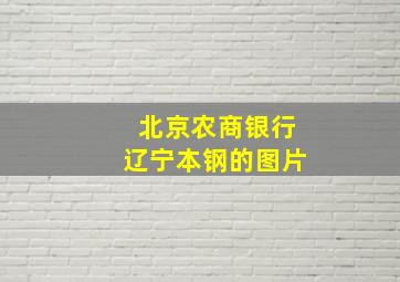 北京农商银行辽宁本钢的图片