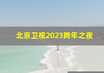 北京卫视2023跨年之夜