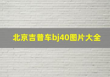 北京吉普车bj40图片大全