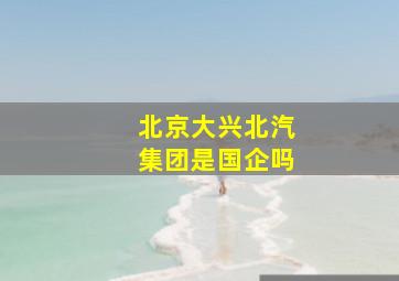 北京大兴北汽集团是国企吗