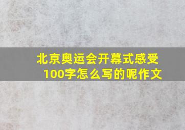 北京奥运会开幕式感受100字怎么写的呢作文