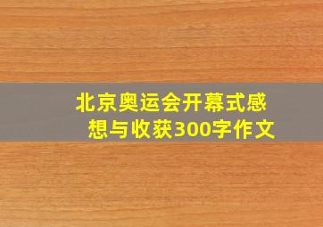 北京奥运会开幕式感想与收获300字作文