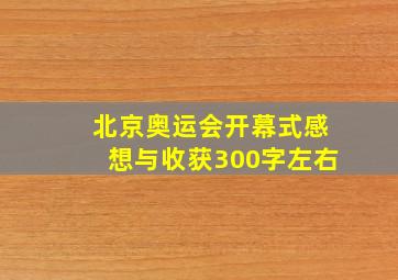 北京奥运会开幕式感想与收获300字左右