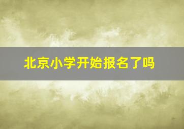 北京小学开始报名了吗