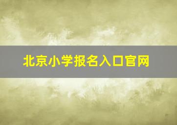 北京小学报名入口官网