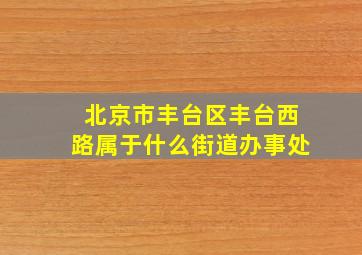 北京市丰台区丰台西路属于什么街道办事处