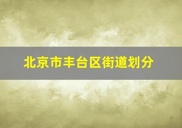 北京市丰台区街道划分