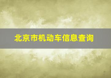 北京市机动车信息查询