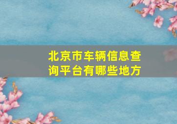 北京市车辆信息查询平台有哪些地方