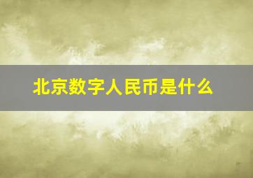 北京数字人民币是什么