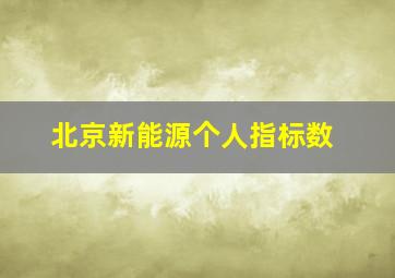 北京新能源个人指标数