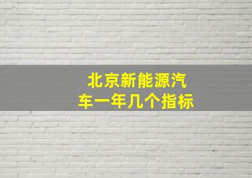 北京新能源汽车一年几个指标