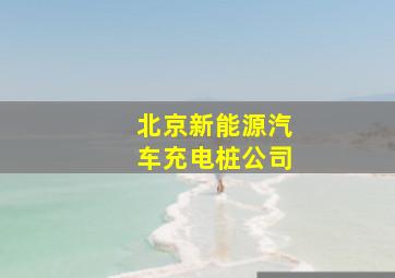 北京新能源汽车充电桩公司