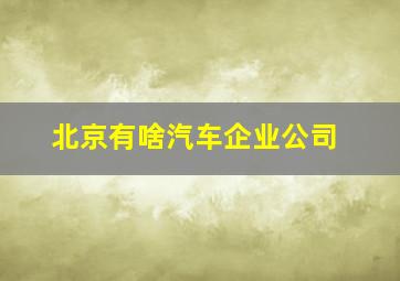 北京有啥汽车企业公司