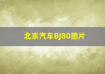 北京汽车BJ80图片