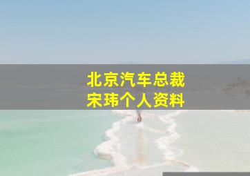 北京汽车总裁宋玮个人资料