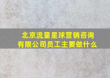 北京流量星球营销咨询有限公司员工主要做什么